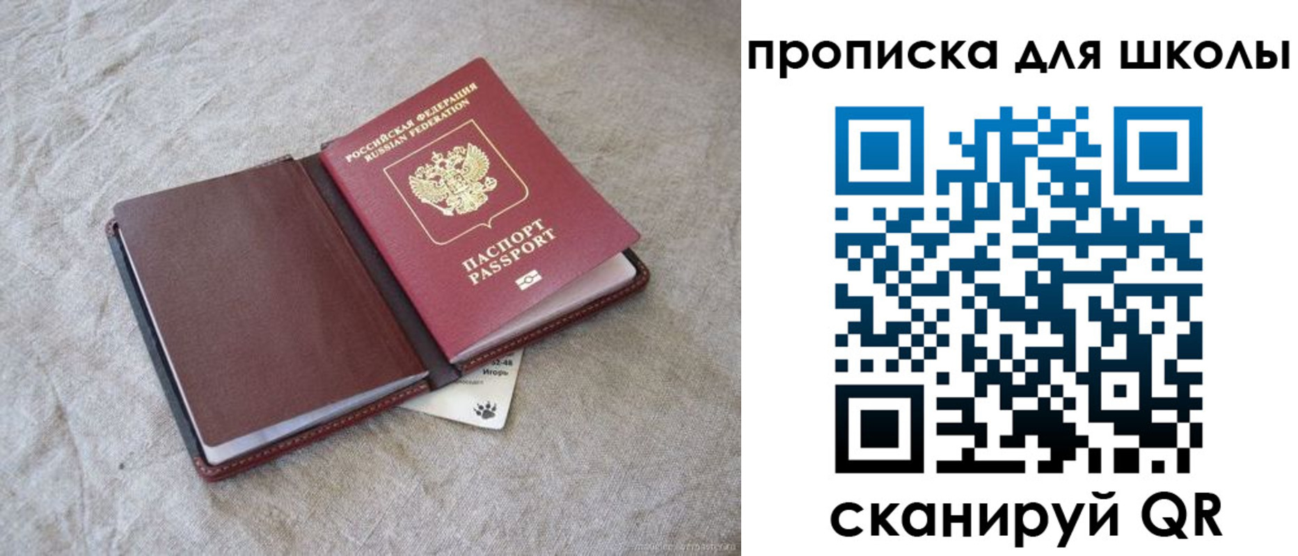 прописка штамп в Красноармейске